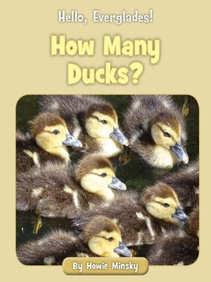 cover image of How Many Ducks?